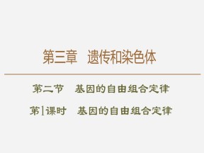 2019-2020学年 苏教版 必修2 基因的自由组合定律  课件  （74张）