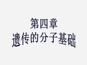 2019-2020学年 苏教版 必修2  探索遗传物质的过程  课件  （44张）