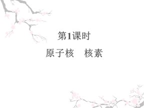 2019-2020学年鲁科版必修2  1.1.1 原子核　核素 课件（22张）