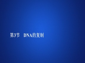 2019-2020学年 人教版 必修2 DNA的复制    课件  （51张）