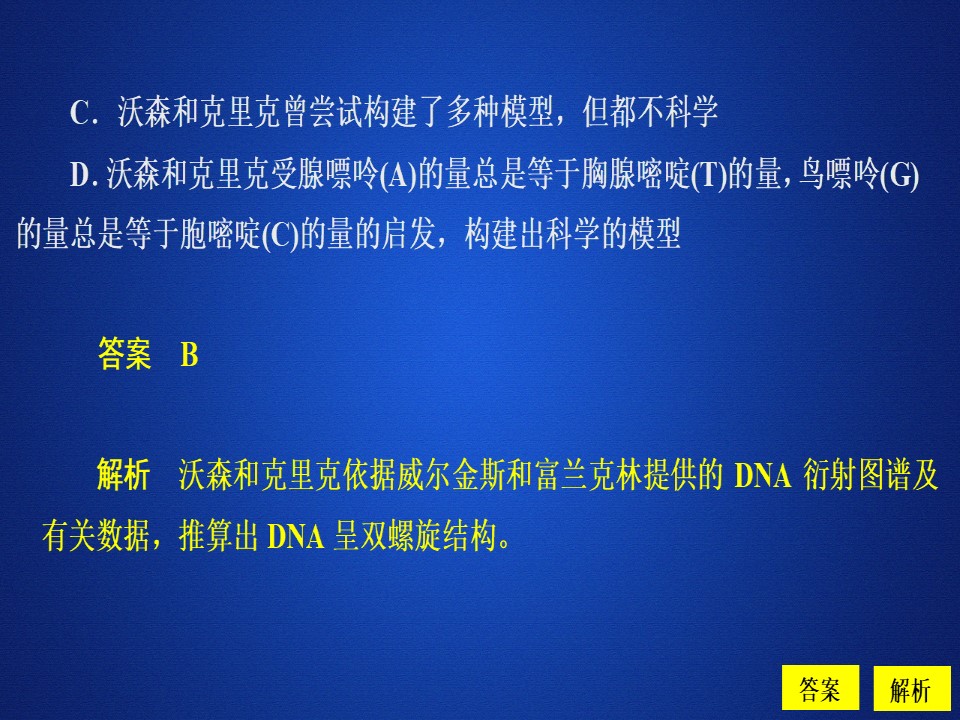 2019-2020学年 人教版 必修2 DNA的结构精练   课件  （36张）第3页