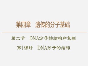 2019-2020学年 苏教版 必修2 DNA分子的结构  课件  （56张）