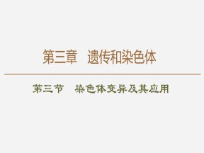 2019-2020学年 苏教版 必修2 染色体变异及其应用  课件  （81张）