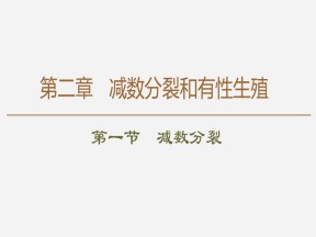 2019-2020学年 苏教版 必修2 减数分裂   课件  （82张）
