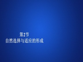 2019-2020学年 人教版 必修2自然选择与适应的形成 课件  （27张）