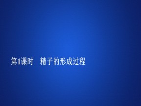 2019-2020学年 人教版 必修2  精子的形成过程 课件  （42张）