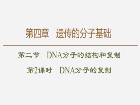 2019-2020学年 苏教版 必修2 DNA分子的复制  课件  （58张）