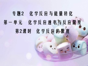 2019-2020学年苏教版必修2  2.1.2 化学反应的限度 课件（24张）