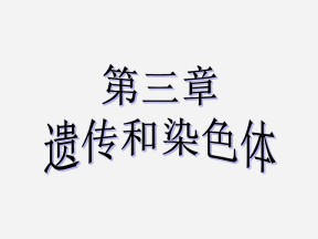 2019-2020学年 苏教版 必修2  基因的分离定律   课件  （50张）