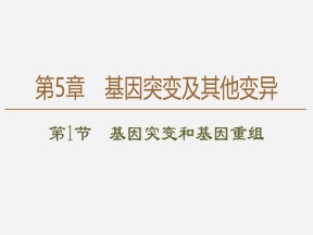 2019-2020学年 人教版 必修2基因突变和基因重组  课件  （63张）