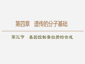 2019-2020学年 苏教版 必修2 基因控制蛋白质的合成  课件  （74张）