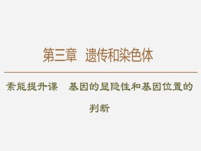 2019-2020学年 苏教版 必修2 素能提升课 基因的显隐性和基因位置的判断  课件  （37张）