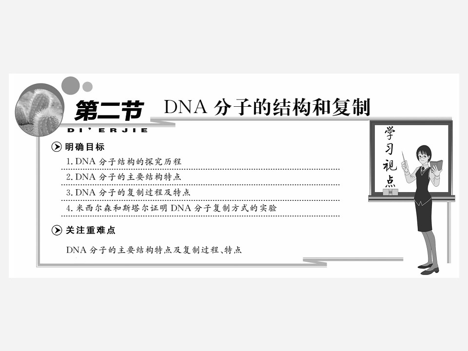 2019-2020学年 苏教版 必修2 DNA分子的结构和复制  课件  （42张）第2页