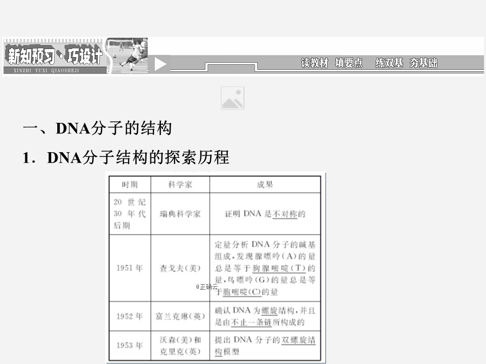 2019-2020学年 苏教版 必修2 DNA分子的结构和复制  课件  （42张）第3页