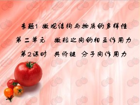 2019-2020学年苏教版必修2  1.2.2 共价键　分子间作用力 课件（33张）