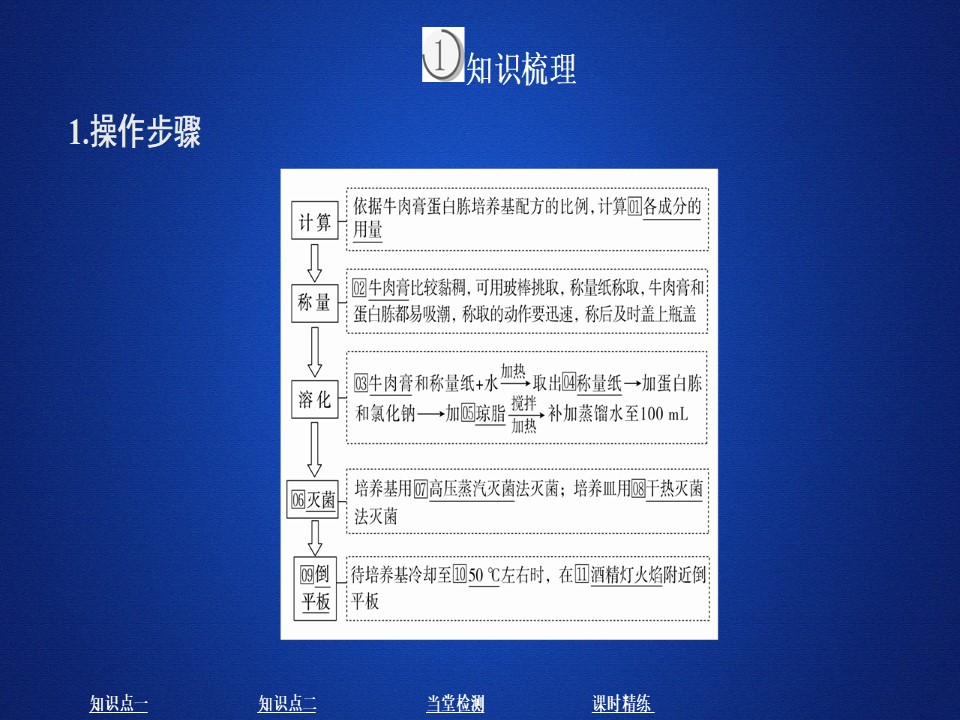 2019-2020学年 人教版 选修1微生物的培养与应用    课件  （46张）第3页