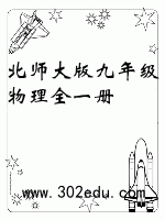 北师大版九年级物理全一册
